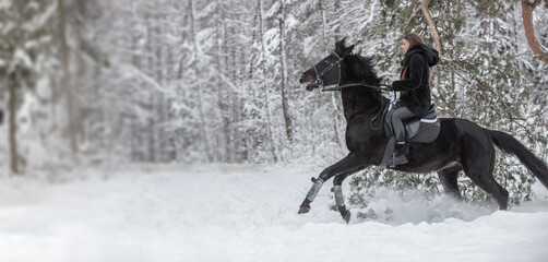 Black Horse running in snow on Winter background