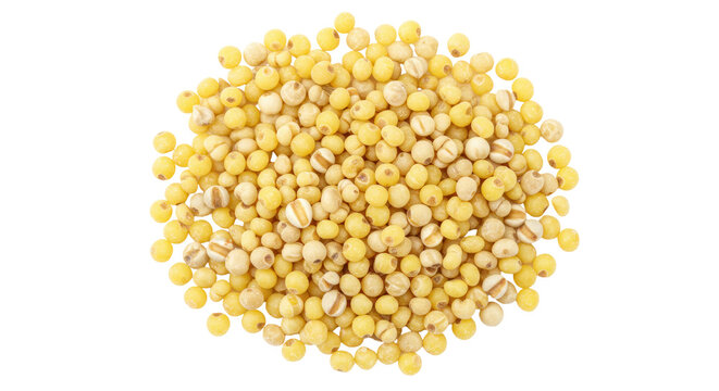 Pile of yellow proso millet seeds isolated on transparent background, small round grains for cooking and healthy eating