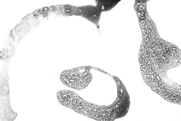 Abstract grunge black and white distressed transparent texture swirly fabric overlay background