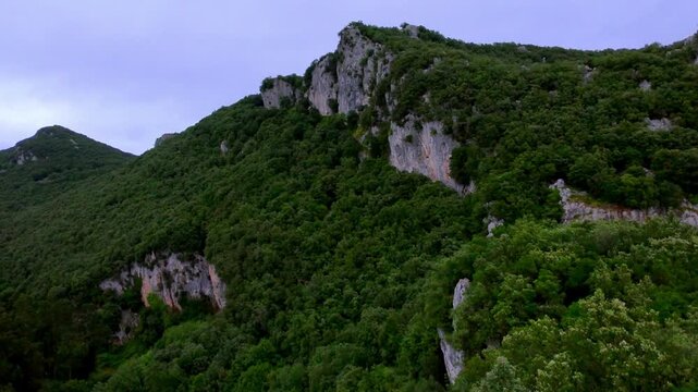 forested cliffs