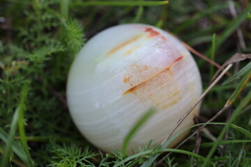 Chinese massage balls lie in nature. Treatment of ACCUPUNTURE AND MASSAGE for joint diseases