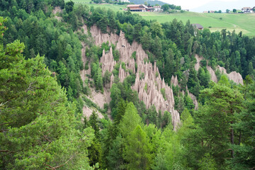 Unique rock formations rise among lush green trees in a scenic mountainous landscape of South Tyrol, Italy