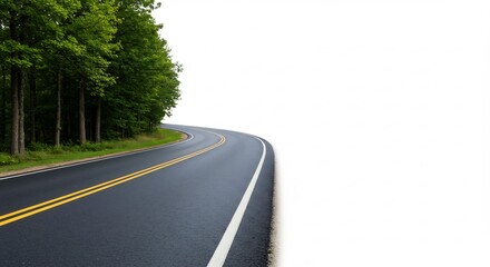 La carretera solitaria serpentea entre árboles vibrantes y un cielo blanco que ilumina el camino.