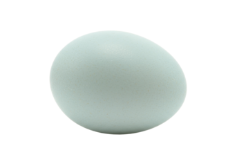 Light blue robin s egg isolated on transparent background, pastel colored bird egg for Easter and spring design PNG