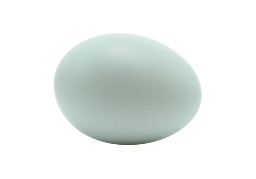 Light blue robin s egg isolated on transparent background, pastel colored bird egg for Easter and spring design PNG