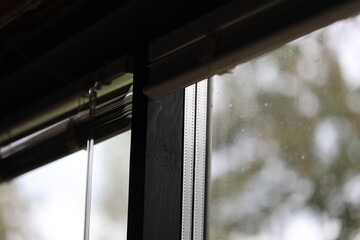 A close-up view of a bird perched on a window, possibly a pet or a visitor