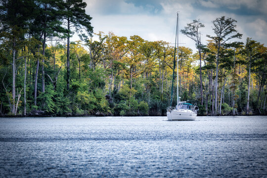 Sailboat in Chesapeake