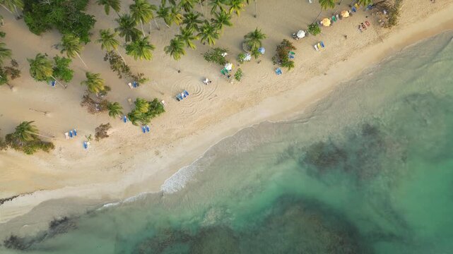 4K drone view of Punta Popy Beach after rain, with soft light, calm waves, and tropical palms. Perfect for travel, wellness, and relaxation videos