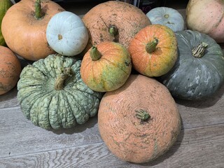 pumpkin and pumpkins
