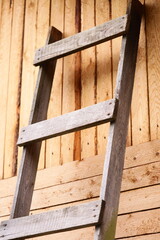 A ladder leans against a wooden wall