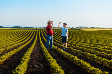 Portrait of senior farmer with his grandson standing in green soybean field.