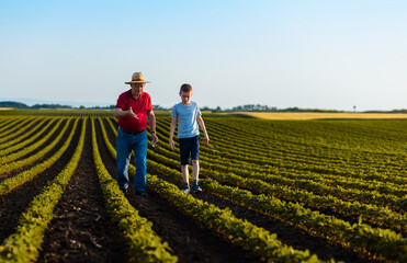 Senior farmer with his grandson walking in green soybean field examining crop at sunset.