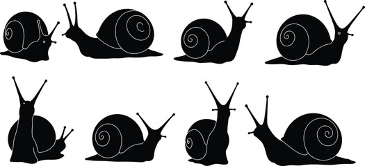 Snail silhouette, cartoon snail illustration, insect-like creature vector, nature animal drawing, wildlife design, black and white artwork, garden character © Sabbir's World