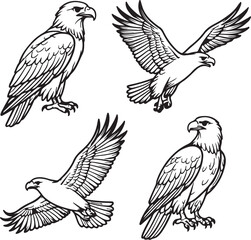 Line art eagles