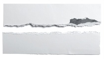 A horizontally-oriented image shows a piece of white paper ripped in half, creating two ragged edges with a small, dark gray smudge visible on the top section.  The background is pure white
