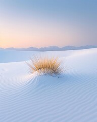 A lone tuft of light brown grass stands in the center of a vast expanse of white sand dunes, under a soft, pastel sunset sky.  Mountains are visible on the horizon