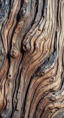 Fototapeta premium Rustic Natural Wood Bark Texture Background with Deep Grooves and Aged Grain