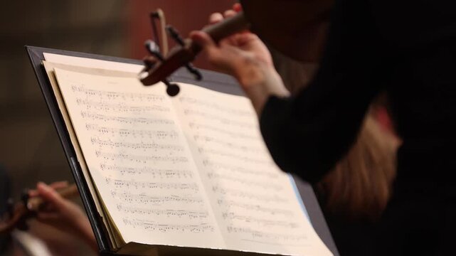 Unrecognizable violin player performing in orchestra ensemble 