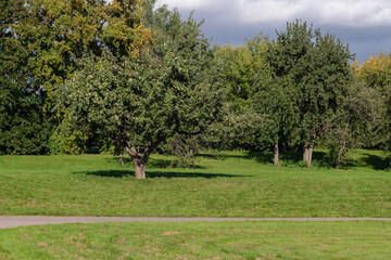 Lush green grass covers a park with several trees displaying the rich colors of autumn, all set against a partly cloudy sky.