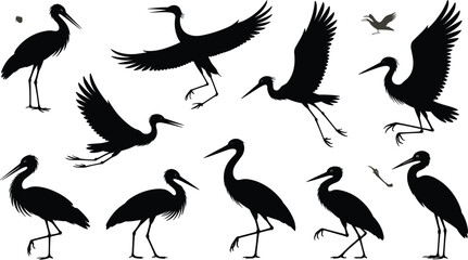 Silhouette illustration of herons and cranes in various poses, flying, standing, walking, vector bird collection, wildlife design, nature artwork