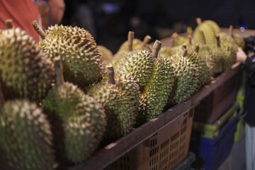 Large collection of ripe durian fruit, highly sought after tropical exotic delicacy, perfectly displayed at bustling market stall, promising unique culinary adventure