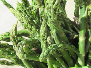 Zbliżenie na młode pędy szparagi © Kumulugma