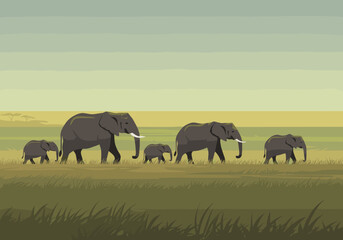Fototapeta premium Family of elephants walking across the savannah in nature scenic landscape serene environment wide view