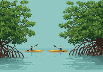 Kayaking adventure in mangrove forests nature scene outdoor exploration serene water environment aerial view