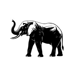 Fototapeta premium Vector art of black and white elephant illustration