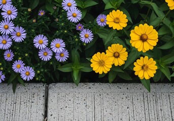 Obraz premium Vibrant yellow and purple flowers blooming beside a concrete curb, showcasing nature’s beauty against an urban backdrop for gardening or floral themes