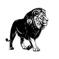 Obraz premium Vector art of majestic lion illustration with bold black lines and detailed mane