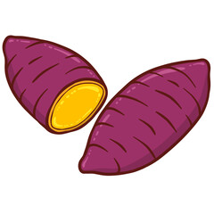 sweet potato illustration