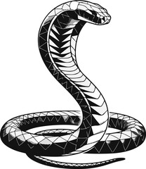 Fototapeta premium vector illustration of a snake