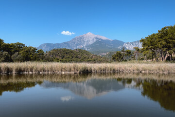 View of Tantali Mountain for Olympus and the lake with grass in the foreground. Antalya region, Turkey