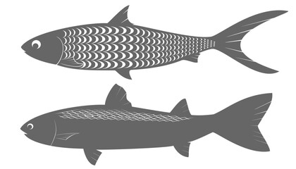 Imaginary image of milkfish and mullet with perforated fins on a white background, vector