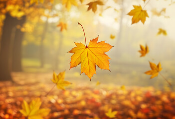 Beautiful autumn landscape with yellow trees and sun. Colorful foliage in the park. Falling leaves natural background