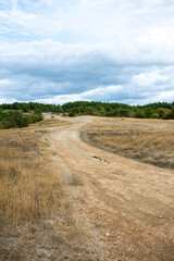 A rough, wide dirt track fork leading up a dry, grassy slope towards a dense line of green trees under a dramatic, cloudy sky.