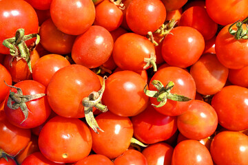 group of fresh mini tomatoes