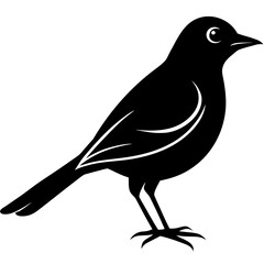 bird on a branch