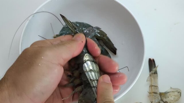 A man carefully peels fresh shrimp and drops them into a clean white bowl.