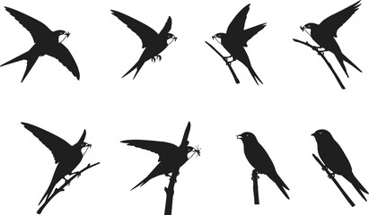 Swallow bird silhouette vector illustration collection showing perched, flying, and insect-catching poses, perfect for wildlife, nature, decorative, artistic, and design.