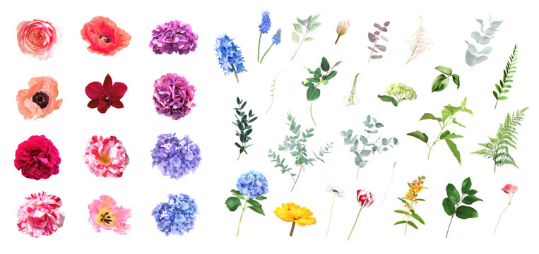 Bright roses, pink poppy, hydrangea, tulips, orchid, greenery and branches Easter floral vector big set. Bold colored watercolor. Blooming garden. Spring florals. Elements are isolated and editable