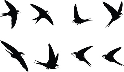 Swallow bird silhouette vector illustration set with flying and insect-catching poses, ideal for wildlife, nature, decorative, artistic, and design projects.