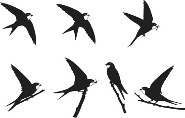 Swallow bird silhouette vector illustration set with flying, perched, and insect-catching poses, perfect for wildlife, nature, decorative, and design artworks.