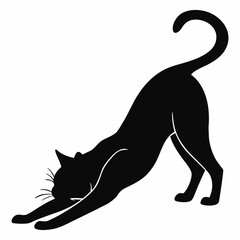 black cat vector illustration