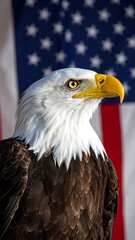 Close-up of bald eagle against American flag