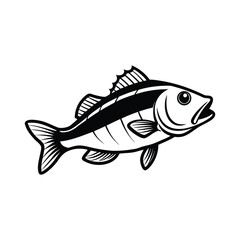 Bass Fish Illustration On White Background