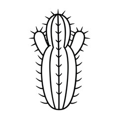 Cactus Plant With Needles On White Background