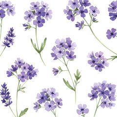 Watercolor lavender and forget-me-nots floral pattern isolated on white background