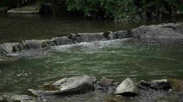 Carpathian river with a rapid and stones. cloudy weather